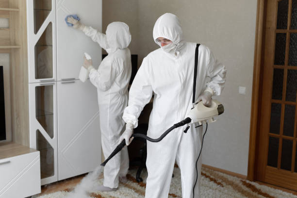 Best Toxic Mold Removal  in Scaggsville, MD