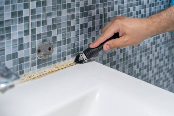 Best Mold Remediation  in Scaggsville, MD