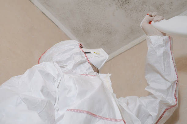 Crawl Space Mold Removal in Scaggsville, MD