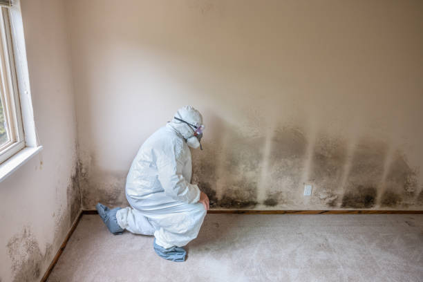 Best Water Damage Restoration  in Scaggsville, MD